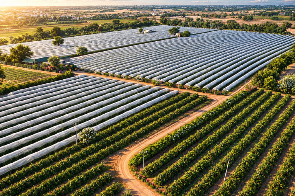 Maanyata AgroFarms, agriculture & agro tourism venture